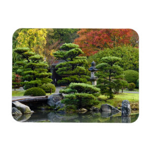 Imán EE. UU., Washington, Seattle, Arboreto, Japonés