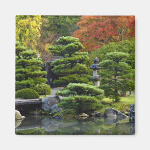 Imán EE. UU., Washington, Seattle, Arboreto, Japonés