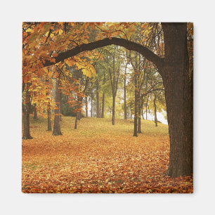 Imán EE. UU., Washington, Spokane, Manito Park, Otoño 2