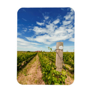 Imán EE. UU., Washington, Walla Walla. Cabernet Sauvign