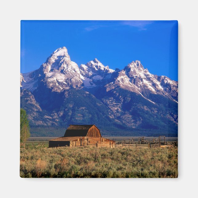 Imán EE.UU., Wyoming, Gran Parque Nacional del Tetón, m (Frente)