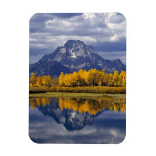 Imán EE. UU., Wyoming, Parque Nacional Grand Teton. Con
