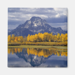 Imán EE. UU., Wyoming, Parque Nacional Grand Teton. Con