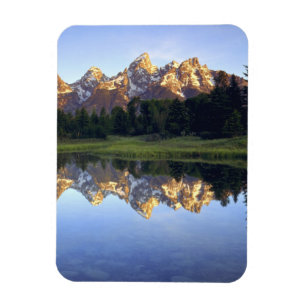 Imán EE. UU., Wyoming, Parque Nacional Grand Teton. Gra