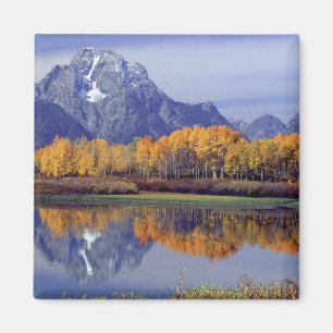 Imán EE. UU., Wyoming, Parque Nacional Grand Teton. Mt.