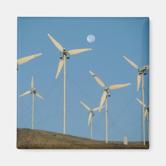 Imán EEUU, California, Altamont Pass, generadores eólic (Frente)