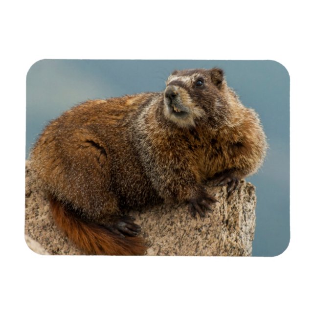 Imán EEUU, Colorado, Montañas San Juan 2 (Horizontal)