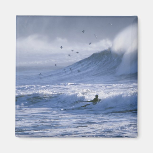 Imán EEUU, Estado de Washington, La Push. Man kayak (Frente)