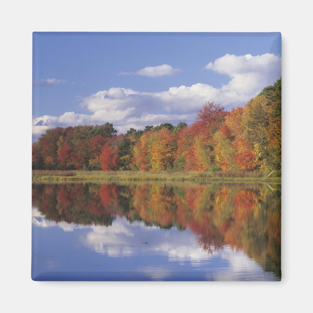 Imán EEUU, Massachusetts, Acton. Reflexión del otoño (Frente)
