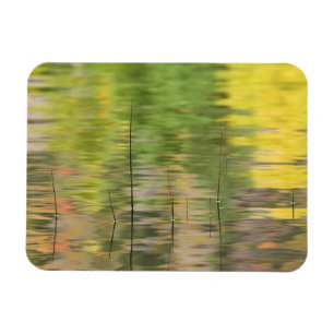 Imán EEUU, Nueva York, Adirondacks, reflexiones sobre e