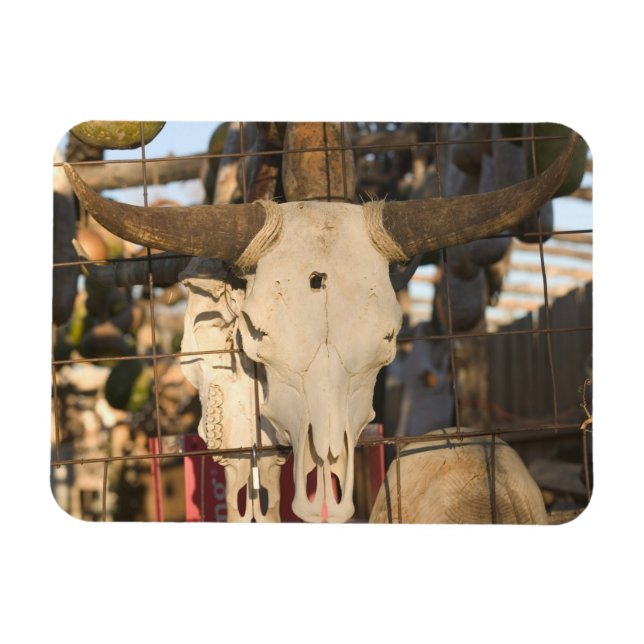 Imán EEUU, Nuevo México, Mesilla: Histórica Plaza Mesil (Horizontal)