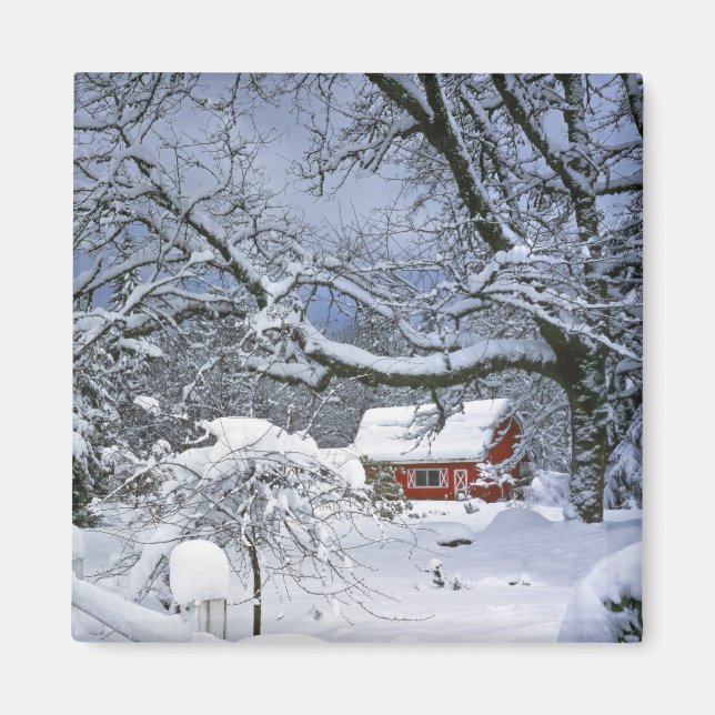 Imán EEUU, Oregón, Condado de Clackamas. Nieve fresca (Frente)