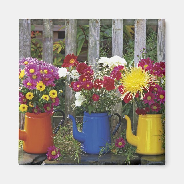 Imán EEUU, Oregón, Portland. Esmalte antiguo (Frente)