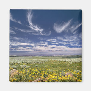 Imán EEUU, Oregón, Steens Mountain. Burgueses de primav