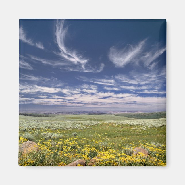 Imán EEUU, Oregón, Steens Mountain. Burgueses de primav (Frente)