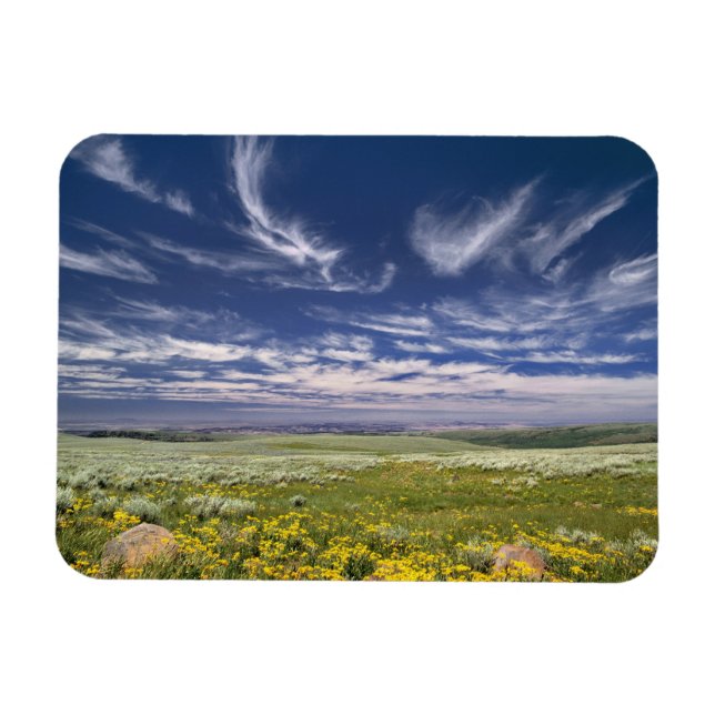 Imán EEUU, Oregón, Steens Mountain. Burgueses de primav (Horizontal)