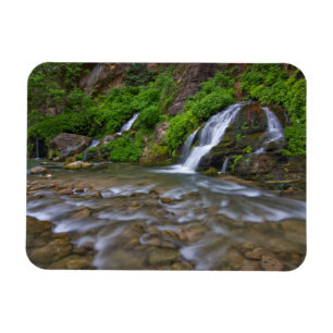 Imán EEUU, Utah, Parque Nacional Zion. Big Springs in