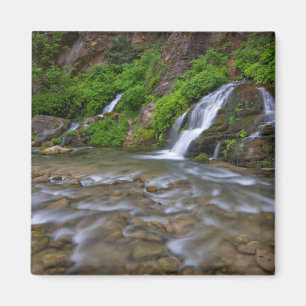 Imán EEUU, Utah, Parque Nacional Zion. Big Springs in