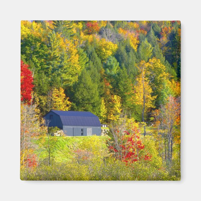 Imán EEUU, Vermont. Follaje otoñal a lo largo de la aut (Frente)