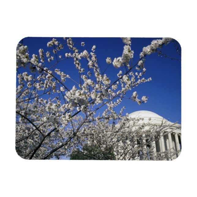 Imán EEUU, Washington DC. Festival Cherry Blossom y 2 (Horizontal)