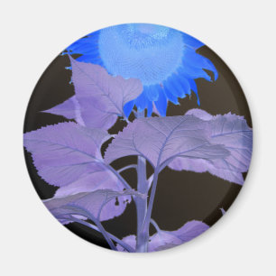 Imán Efecto del girasol