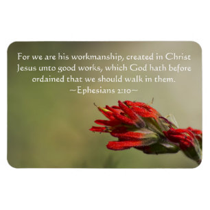 Imán Efesios 2:10