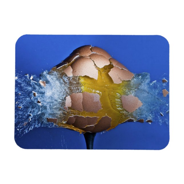 Imán Eggceptivo (Horizontal)