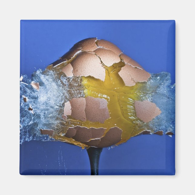 Imán Eggceptivo (Frente)