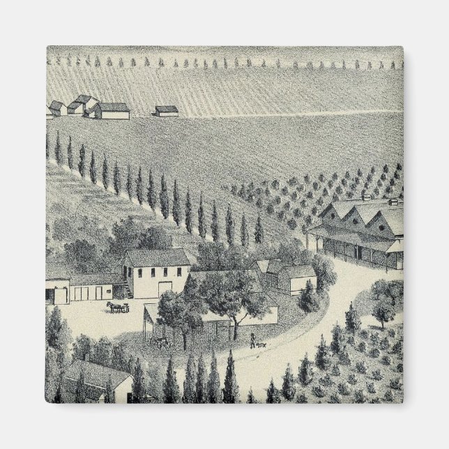 Imán Eggers Vineyard, Fresno (Frente)