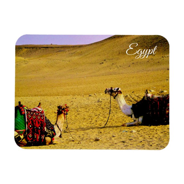 Imán Egipto (Horizontal)