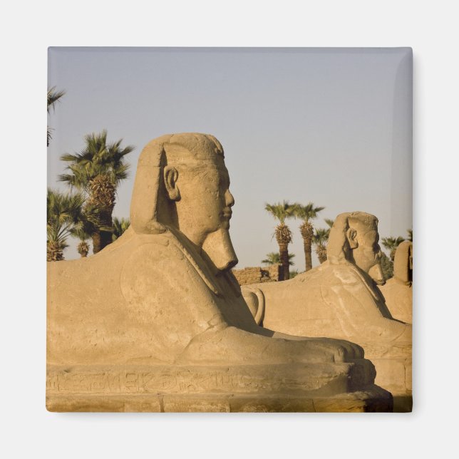 Imán Egipto, Luxor. La Avenida de las Esfinges conduce  (Frente)