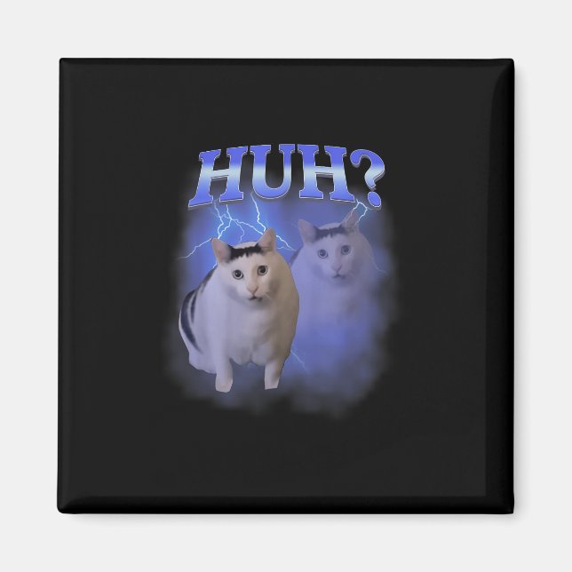 Imán Eh Silly Cat Meme Gracioso Extrañamente Bootleg Es (Frente)