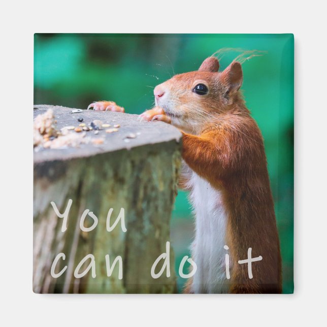 Imán Eichhörnchen Motivationspruch (Frente)