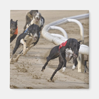 Imán Ejecutar a la línea