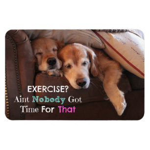 Imán Ejercicio Demotivational del golden retriever