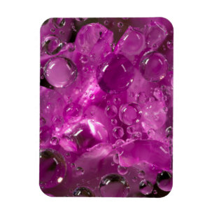 Imán El agua cae en flor, California