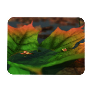 Imán El Agua Es Ampliamente Flexible