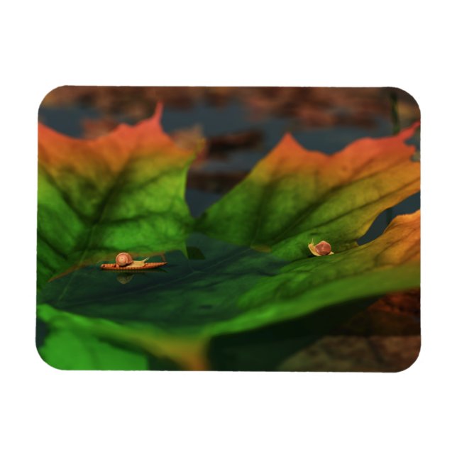 Imán El Agua Es Ampliamente Flexible (Horizontal)