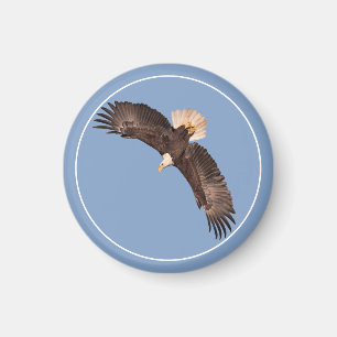 Imán El águila poderosa