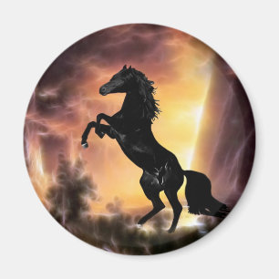 Imán El alzarse frisio del caballo del semental