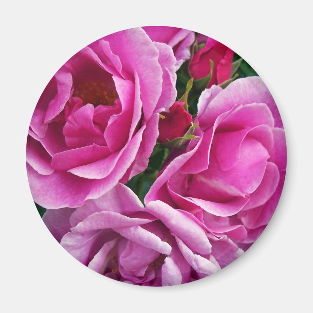 Imán El amigo compasivo (Frente)