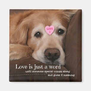 Imán El amor del golden retriever es apenas una tarjeta