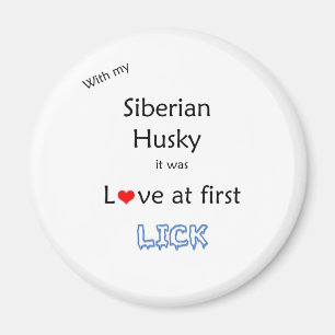 Imán El amor del husky siberiano al principio lame - el