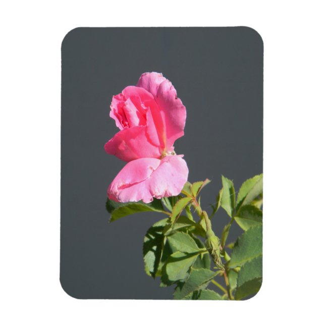 Imán El amor del verano... (Vertical)