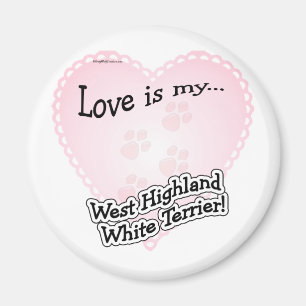 Imán El amor es mi Ter Blanco de West Highland...