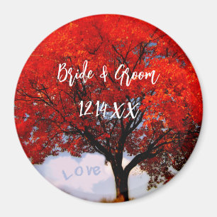 Imán ¡El amor está en el aire...