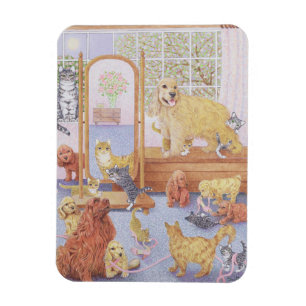 Imán El amor no conoce límites