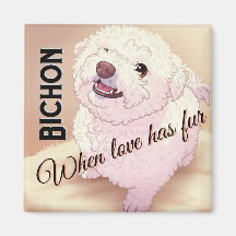El amor tiene Bichon Fur 
