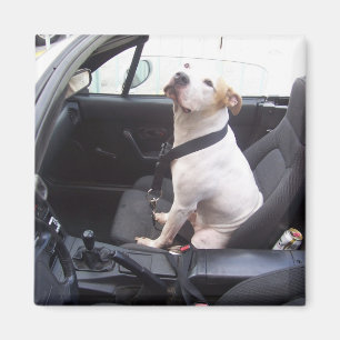 Imán El anti Michael Vick