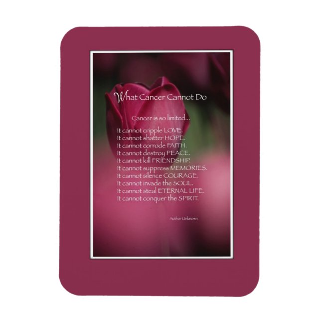 Imán El apoyo al cáncer, lo que el cáncer no puede hace (Vertical)